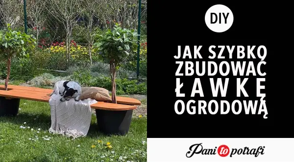 Jak samemu zrobić ławkę ogrodową? Piesek odpoczywa na gotowej, drewnianej ławce w otoczeniu zieleni.