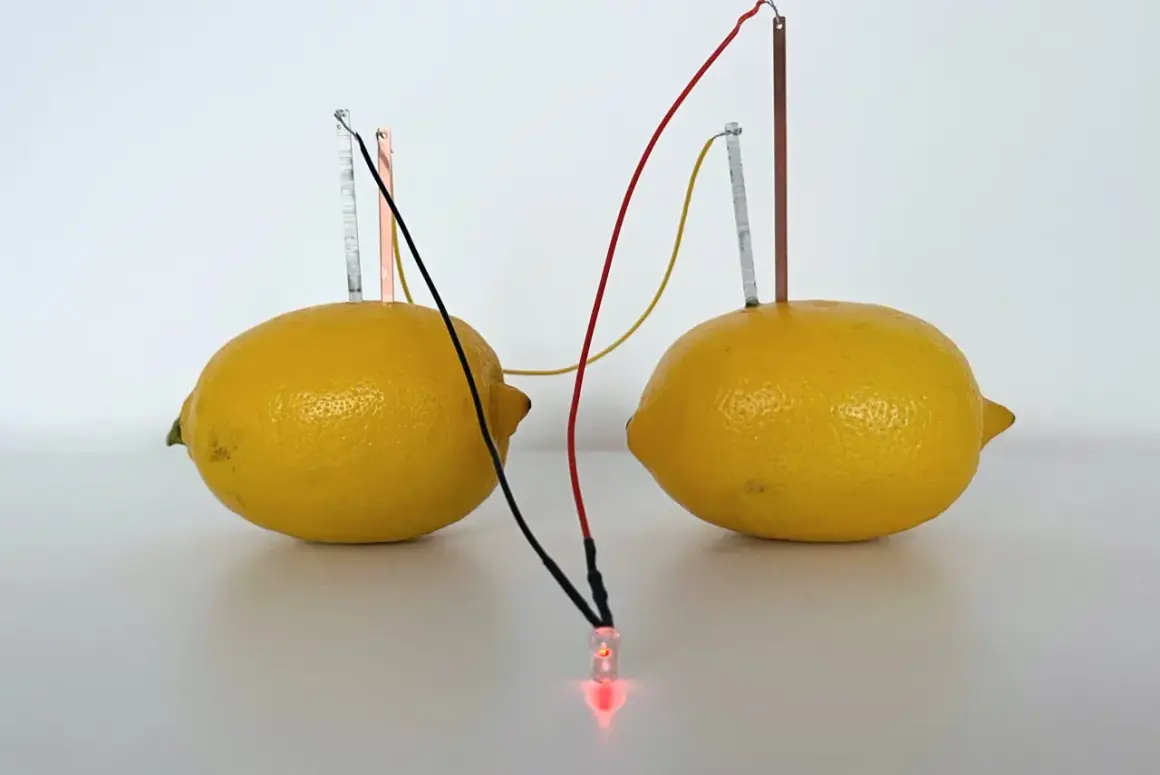 Dwa cytryny z elektrodami i przewodami, tworzące prąd z ziemniaka, zasila świecącą czerwoną diodę LED.