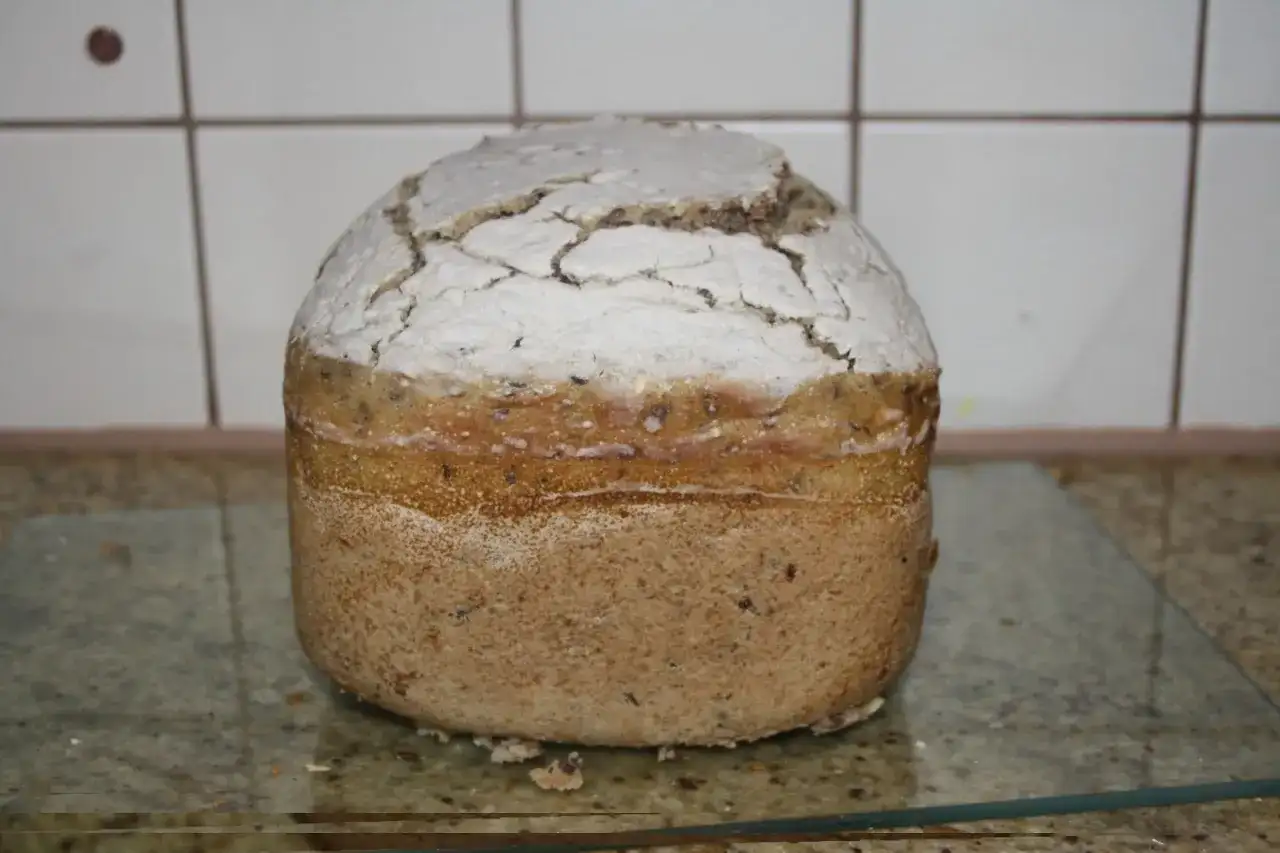 Instrukcja Moulinex Home Bread: piecz idealnie - porady i przepisy