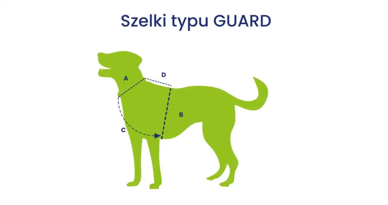 Ilustracja pokazuje, jak ubrać szelki psu typu GUARD. Zaznaczone linie A, B, C, D wskazują miejsca pomiaru.